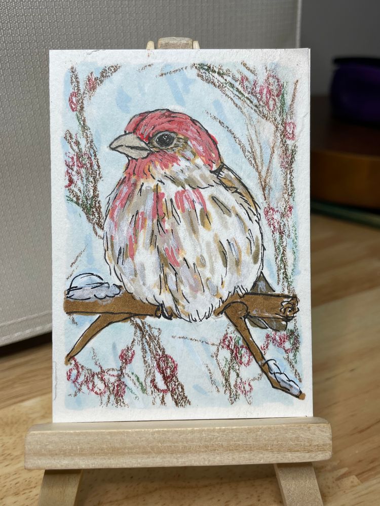 ACEO Winter Visitor Series House Finch