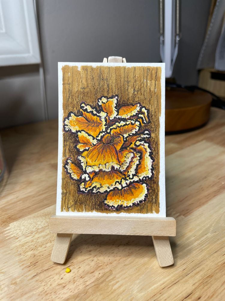 ACEO mixed media painting of Chicken of the Woods Mushroom growing on a tree trunk