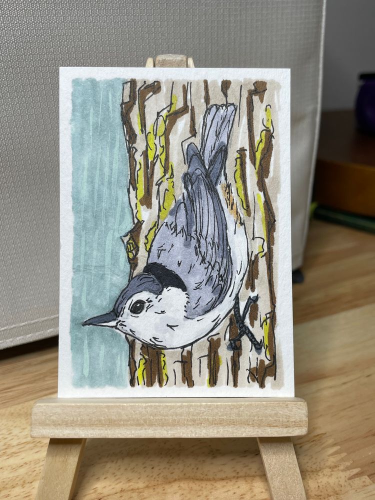 ACEO Winter Visitor Series White-Breasted Nuthatch